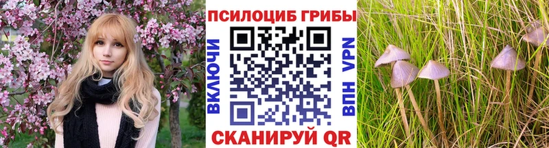 площадка официальный сайт  Беломорск  Галлюциногенные грибы ЛСД  гидра ссылки 