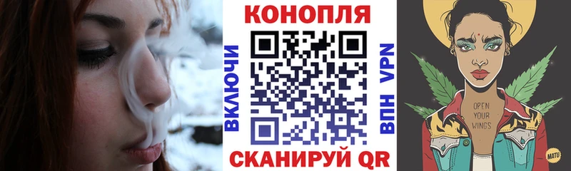 Канабис OG Kush Беломорск